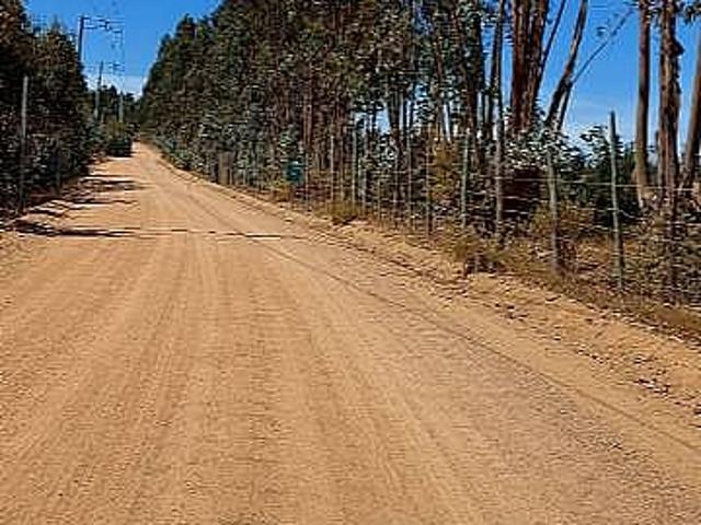PARCELA EL PERAL A 25 MIN DE PLAYA. CARDENAL CARO, PAREDONES