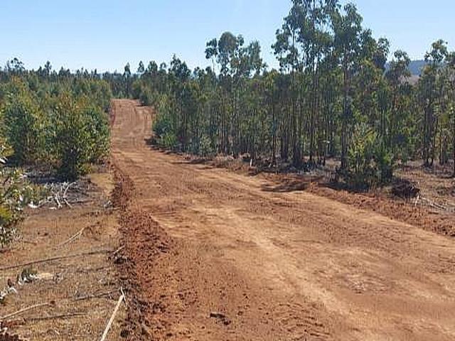 PARCELA EL PERAL A 25 MIN DE PLAYA. CARDENAL CARO, PAREDONES