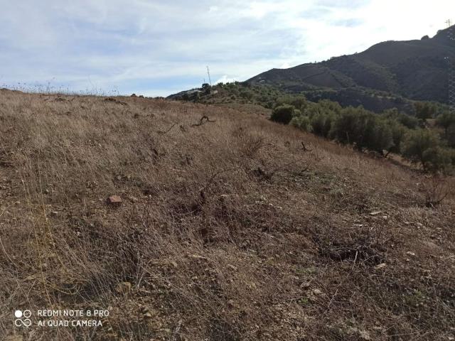 Terreno en venta en Almáchar, Río Almáchar