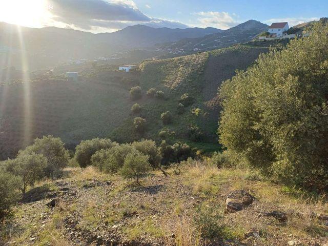 Local Comercial en venta en La Axarquía, Andalucía