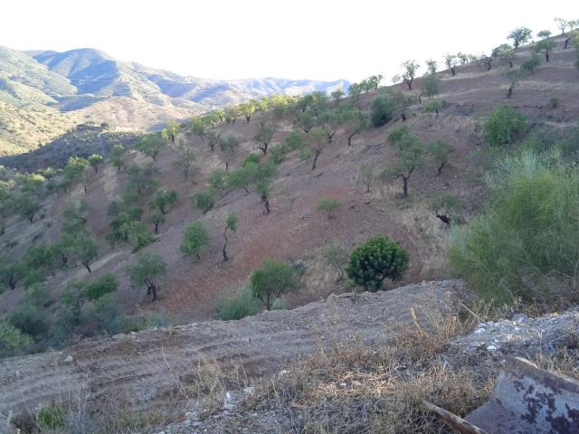 Casa en venta en Valle del Guadalhorce, Andalucía