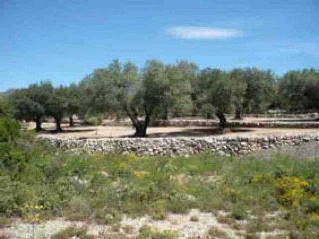 Terreno en alquiler en Canet Lo Roig