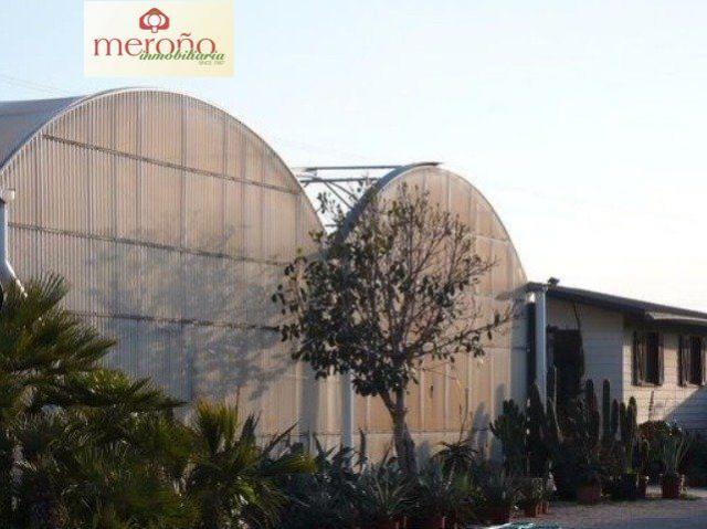 Terreno en alquiler en el Baix Vinalopó, Valencia