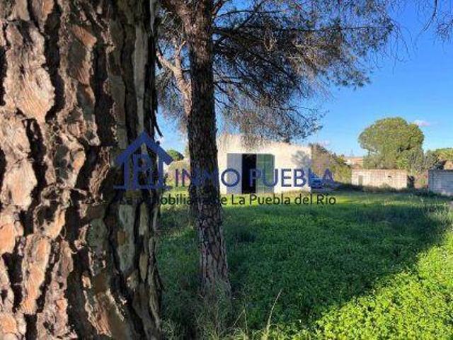Terreno en alquiler en La Puebla Del Río Terreno en alquiler en La Puebla Del Río