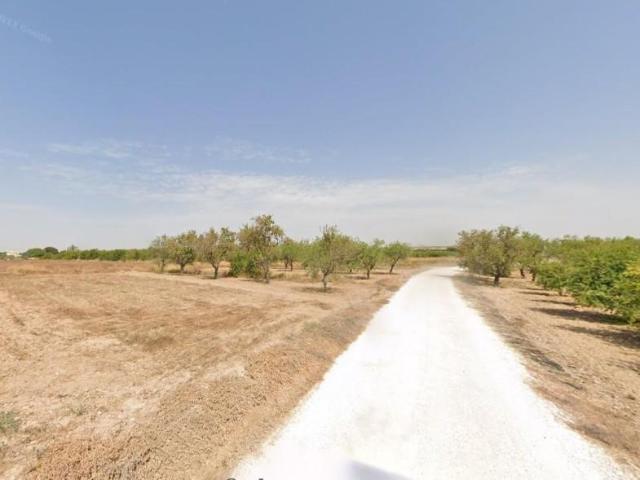 Terreno en alquiler en Elche, Jubalcoi