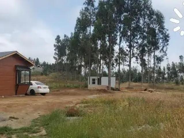 Parcela en Arauco