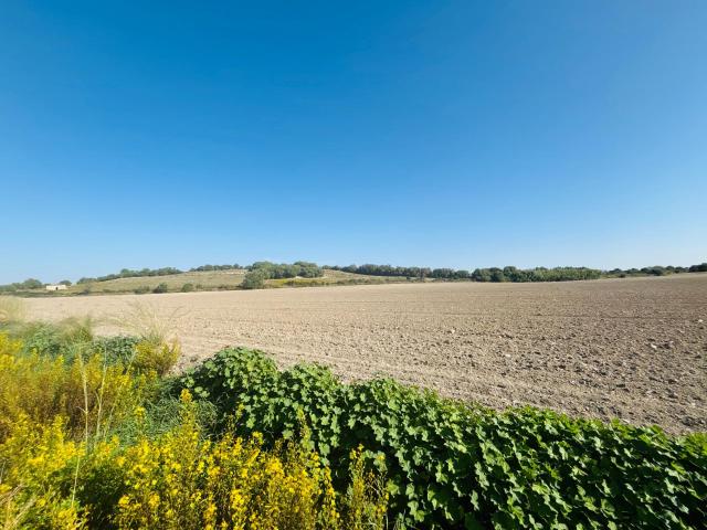 Terreno en venta en Ariany