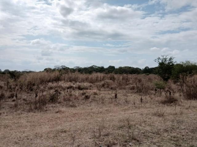 Finca en venta en Guacuy, Portuguesa