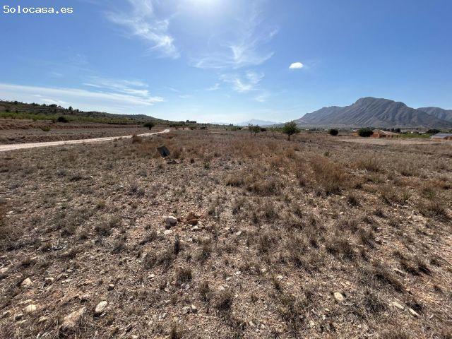 Local Comercial en venta en Barbarroja, el Baix Segura / La Vega Baja