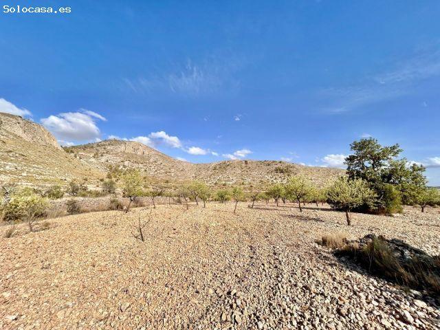Local Comercial en venta en Barbarroja, el Baix Segura / La Vega Baja