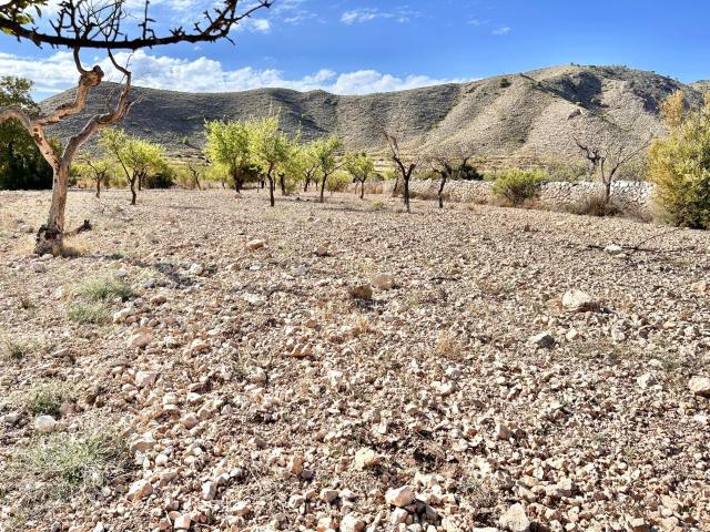 Terreno en venta en Casco Histórico, el Baix Segura / La Vega Baja