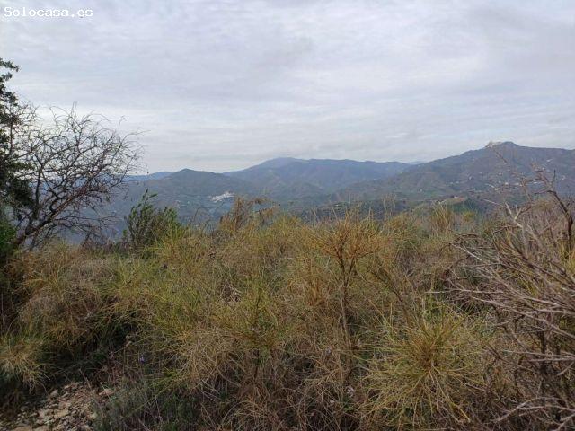Local Comercial en venta en La Axarquía, Andalucía