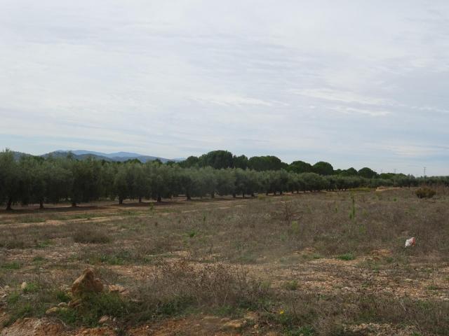 Terreno en venta en Beneixama