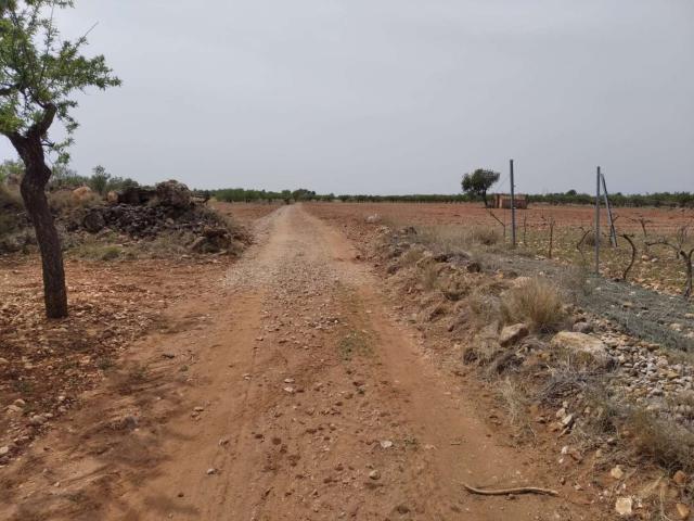 Terreno en venta en Benlloch