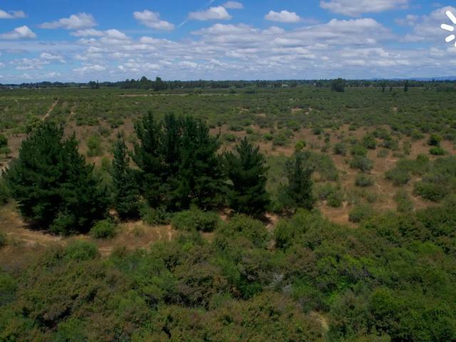 Terreno en venta en Ñuble