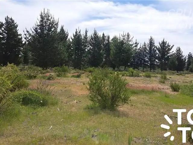 Terreno en venta en Cabrero, Biobío