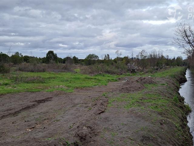 Terreno en venta en Cabrero, Biobío