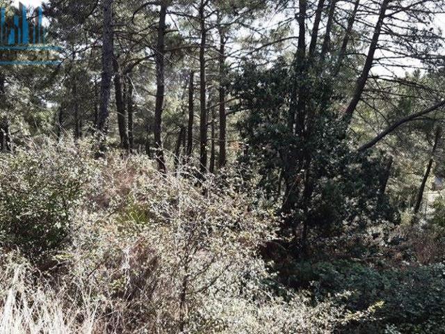 Terreno en venta en Cadalso De Los Vidrios, Entrepinos