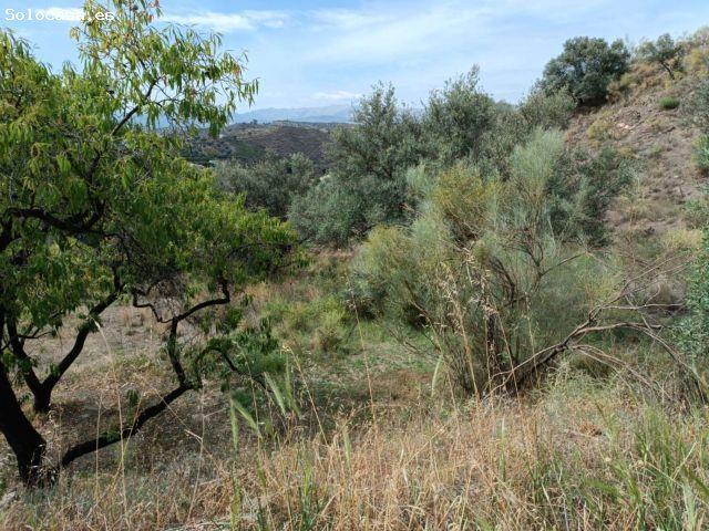 Local Comercial en venta en La Axarquía, Andalucía