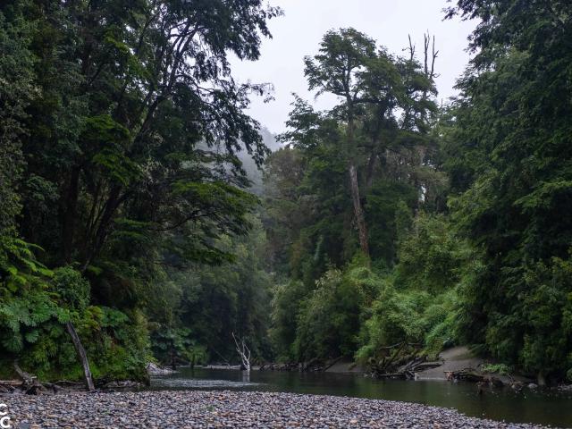 Terreno en venta en Castro, Los Lagos