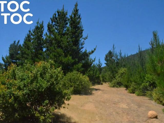 Terreno en venta en Cauquenes, Provincia de Cauquenes