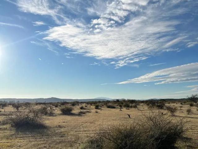 Parcela en Cauquenes