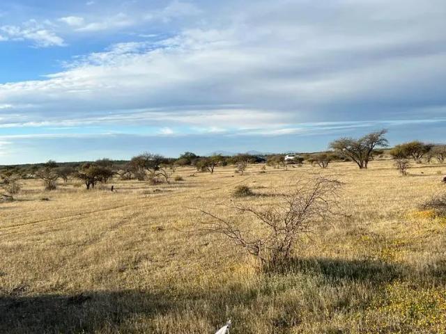 Parcela en Cauquenes