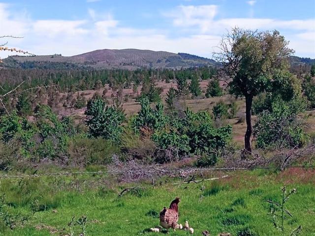 Parcela en Cauquenes