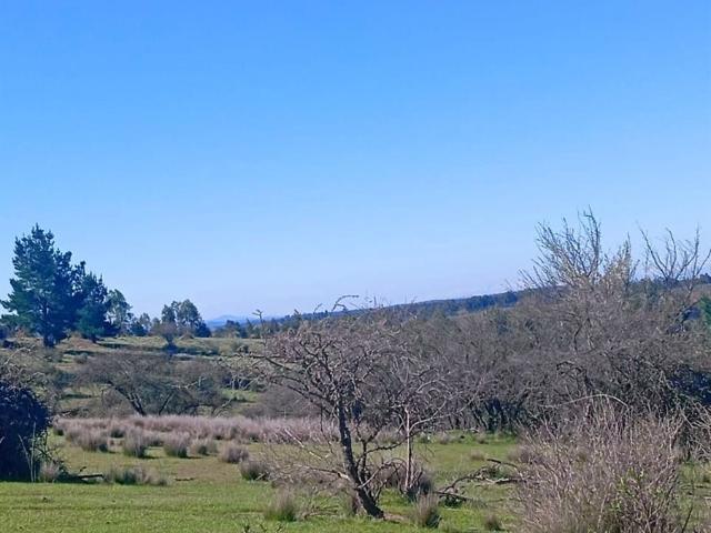 Parcela en Cauquenes