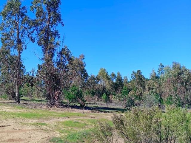 Parcela en Cauquenes