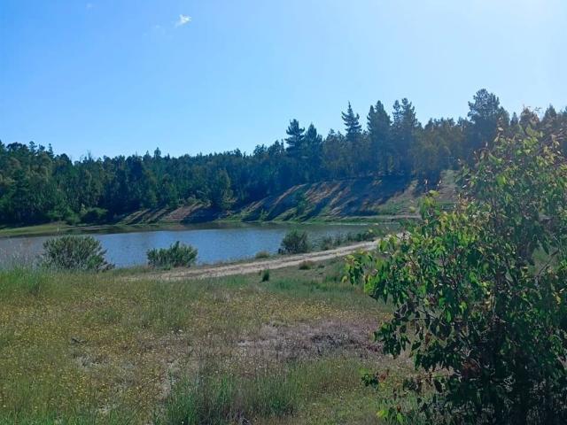 Parcela en Cauquenes