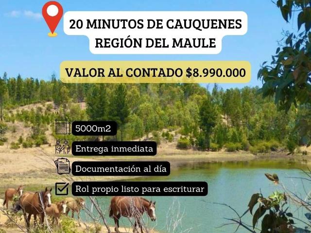 Parcela en Cauquenes