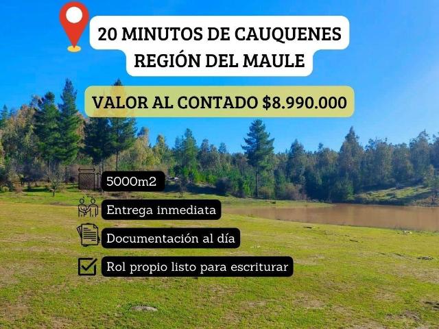 Parcela en Cauquenes