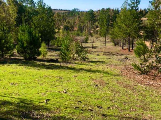 Parcela en Cauquenes
