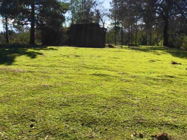 Parcela en Cauquenes