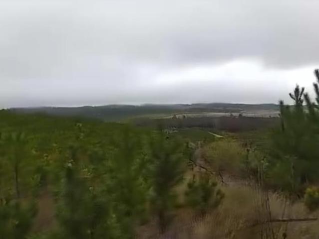 Parcela en Cauquenes