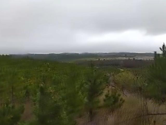 Parcela en Cauquenes