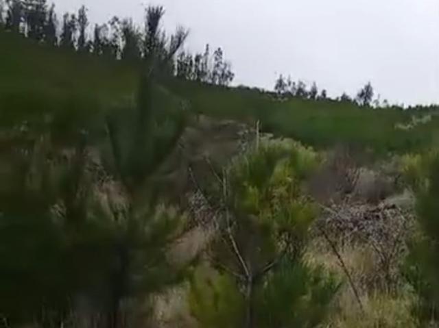 Parcela en Cauquenes