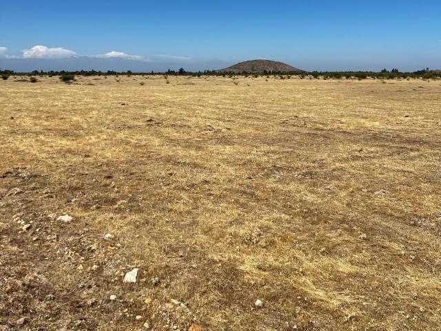 Parcela en Cauquenes