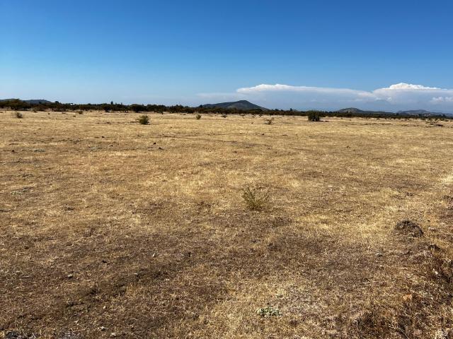 Parcela en Cauquenes