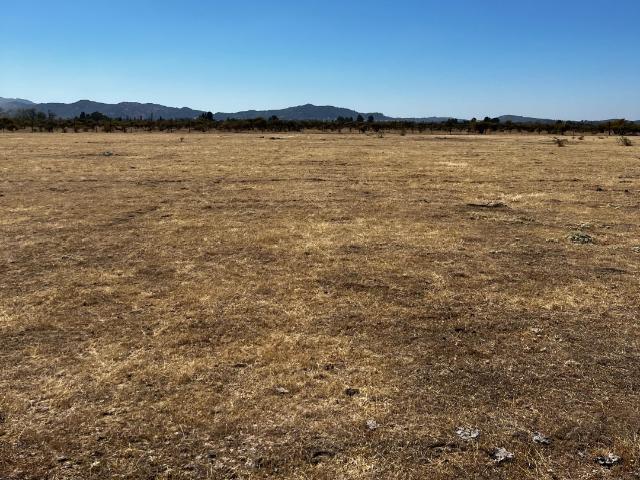 Parcela en Cauquenes