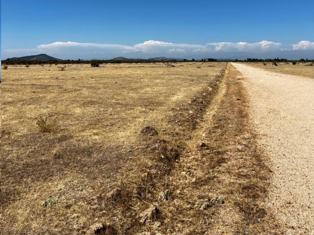 Parcela en Cauquenes