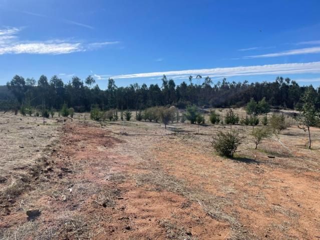 Parcela en Cauquenes