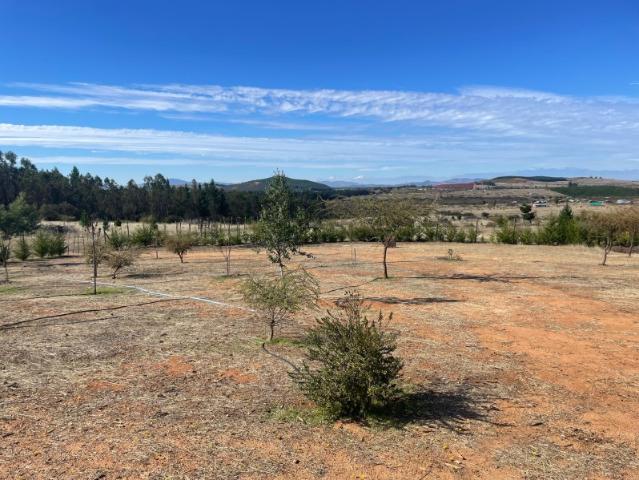 Parcela en Cauquenes