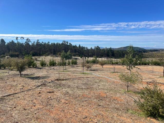 Parcela en Cauquenes