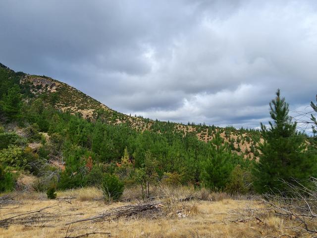 Terreno en venta en Cauquenes, Maule