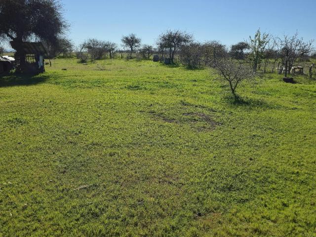 Parcela en Cauquenes