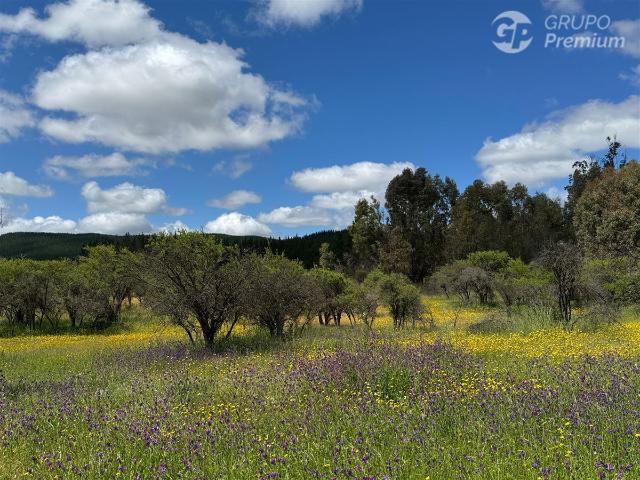 Parcela en Cauquenes