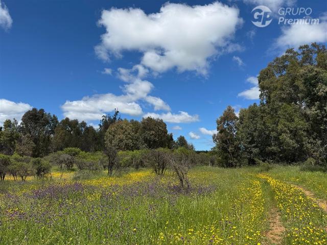 Parcela en Cauquenes