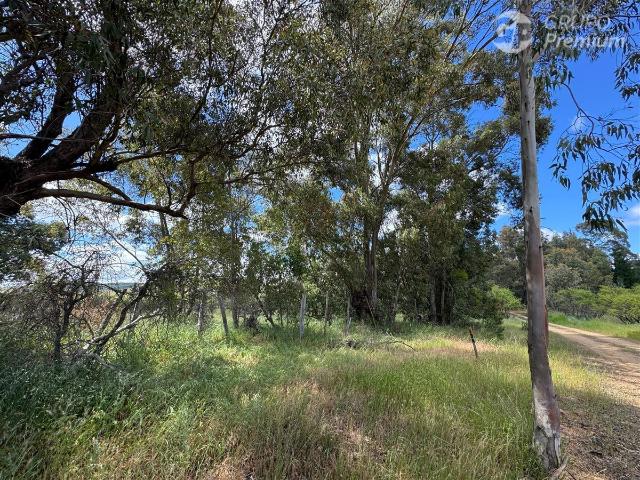 Parcela en Cauquenes